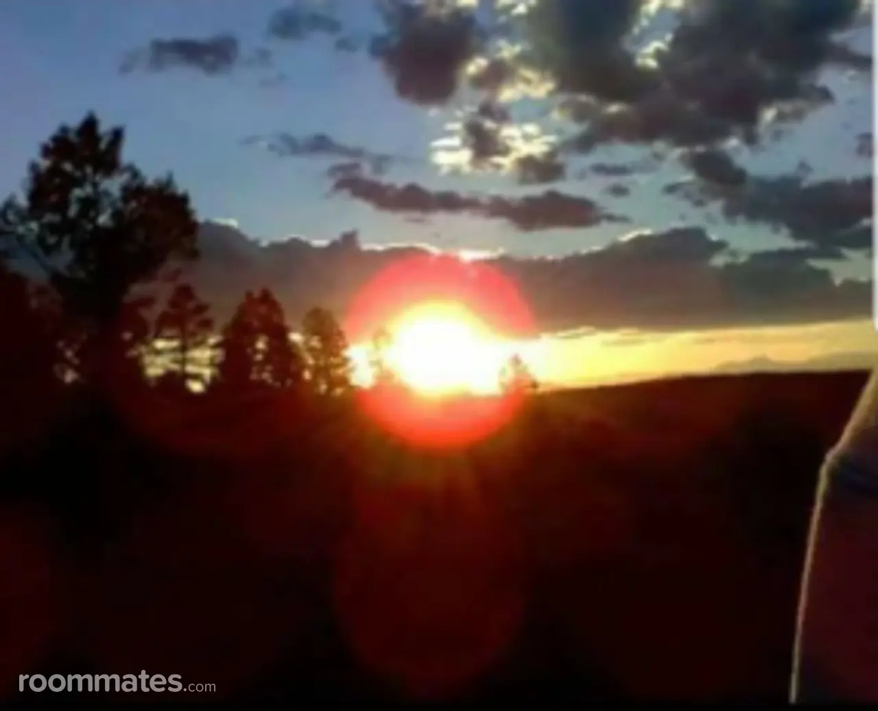 Profile photo 2 of 2