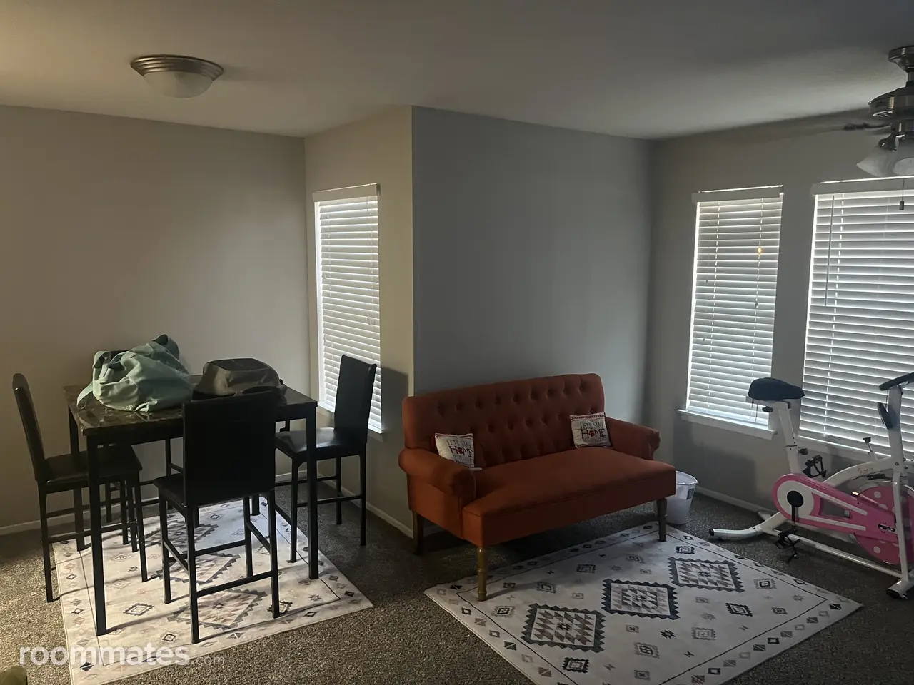 Profile photo 11 of 12