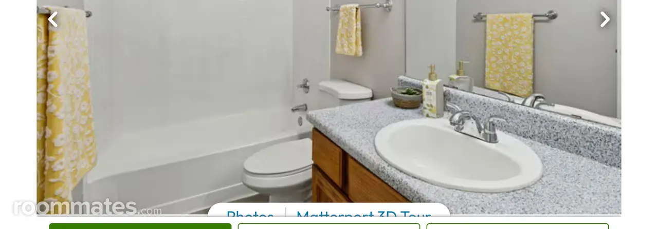 Profile photo 5 of 12