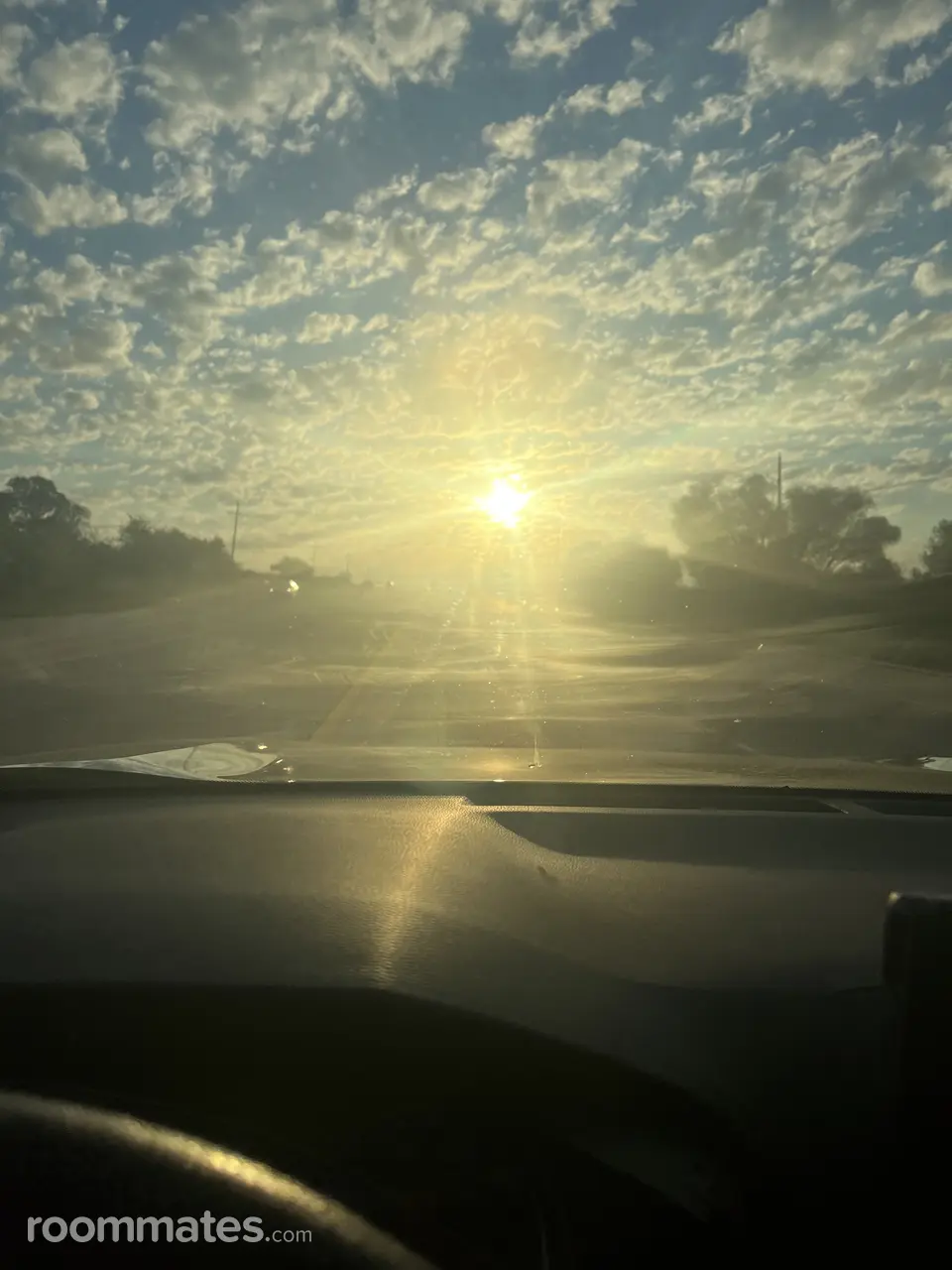 Profile photo 9 of 12