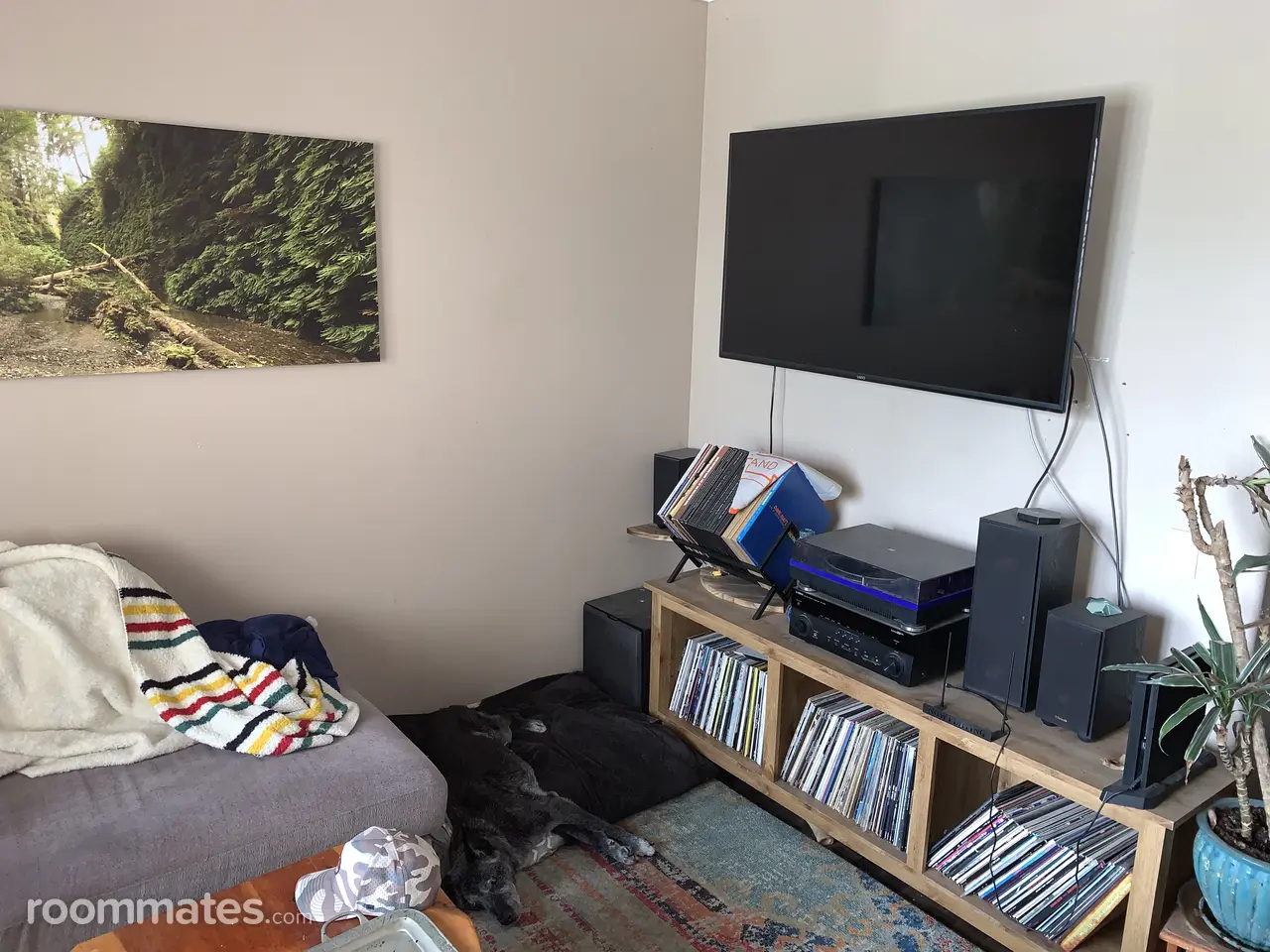 Profile photo 7 of 11