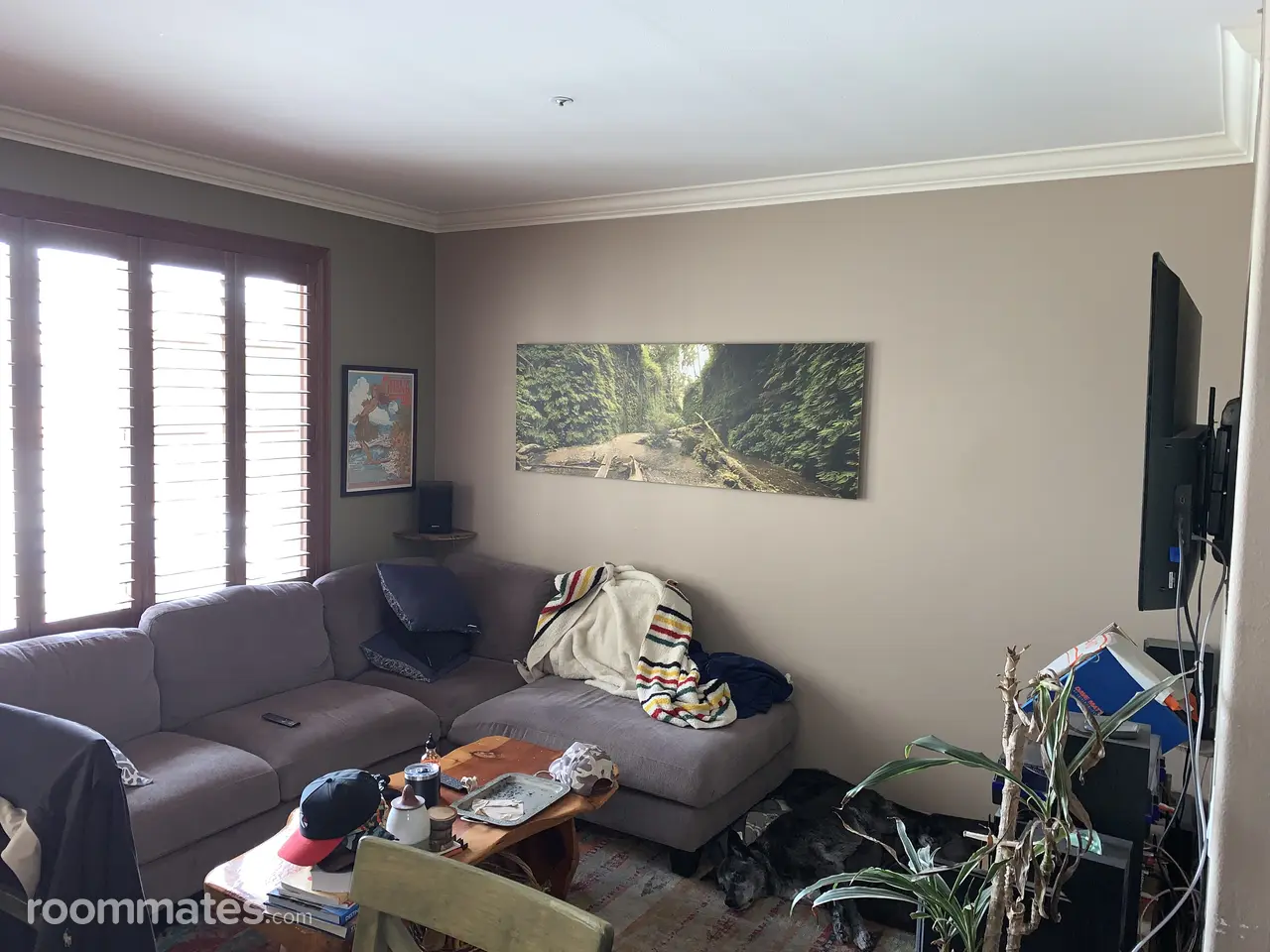 Profile photo 5 of 11