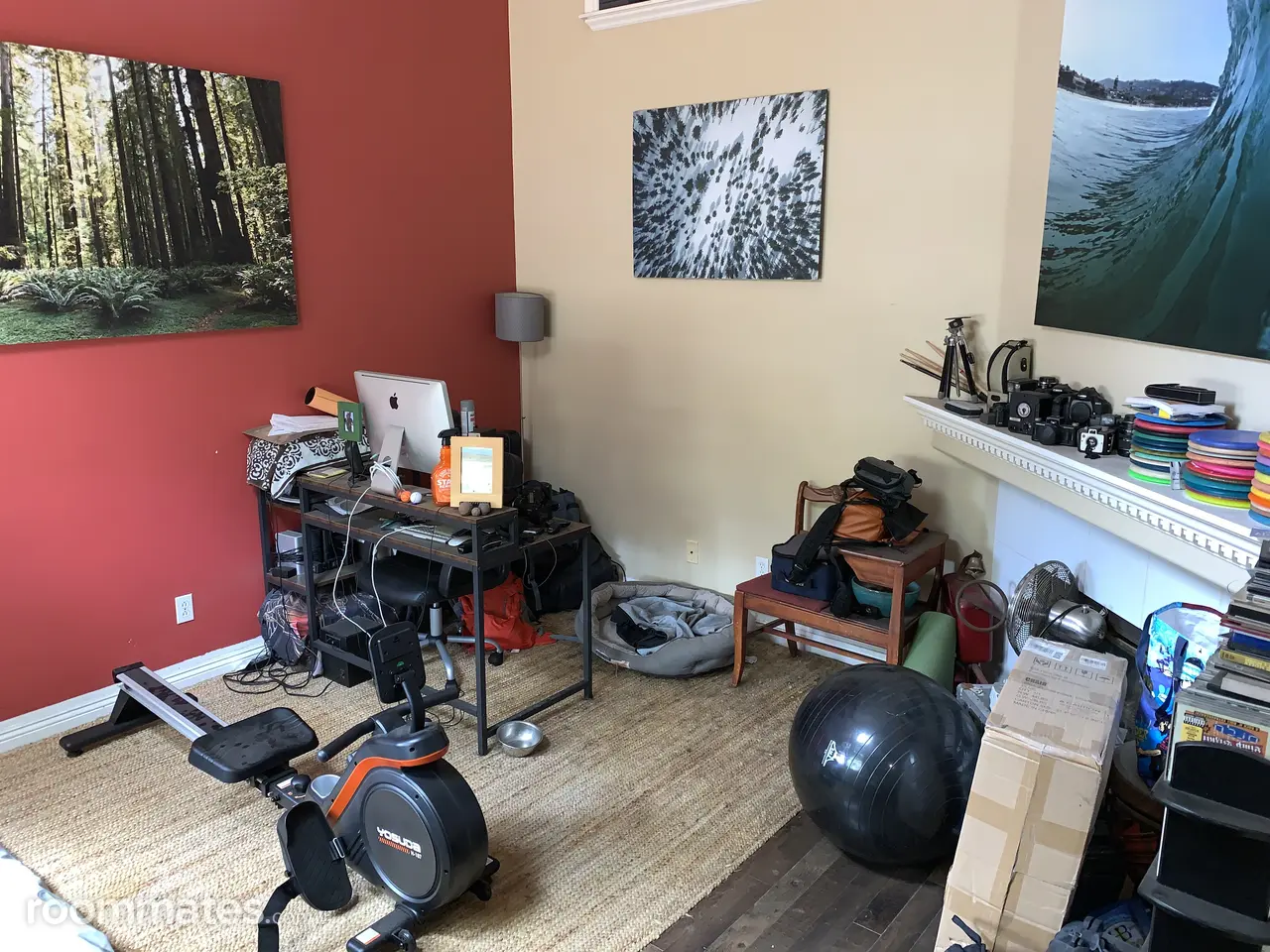 Profile photo 10 of 11