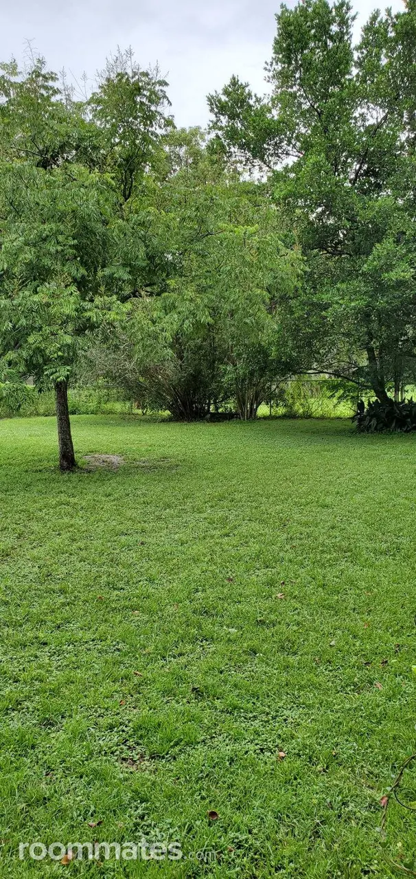 Profile photo 6 of 6