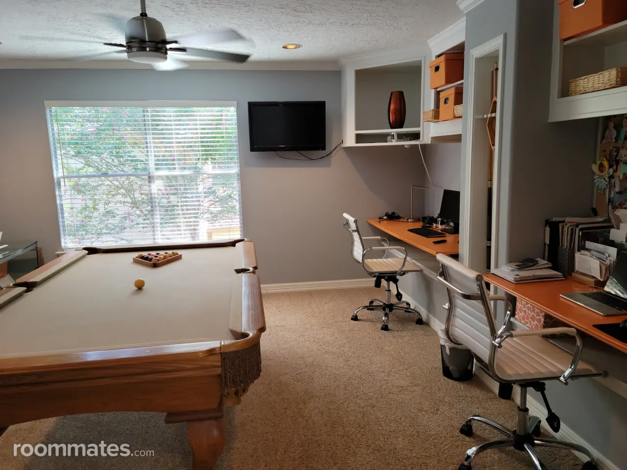 Profile photo 6 of 11