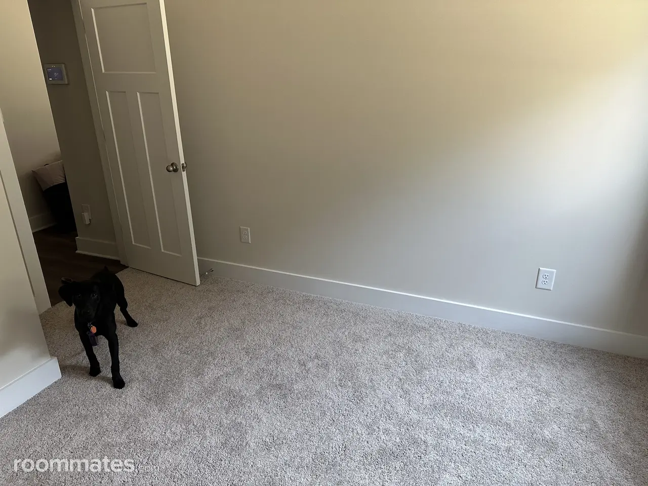 Profile photo 10 of 11