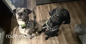 Room for rent in Simpsonville, SC $750, house