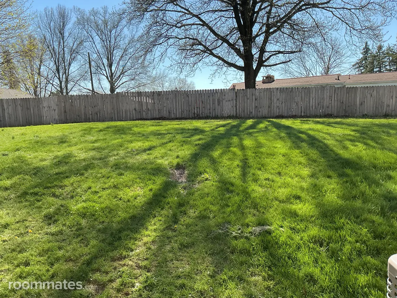 Profile photo 4 of 5