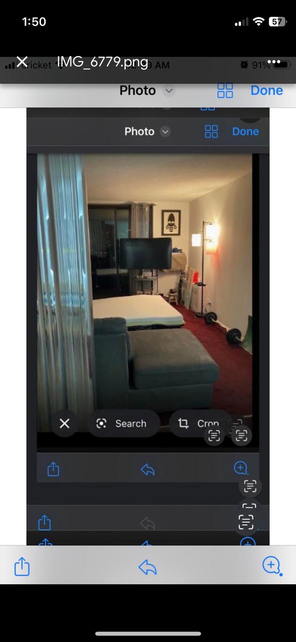 Profile photo 16 of 18