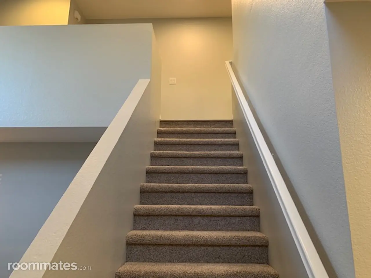 Profile photo 8 of 11