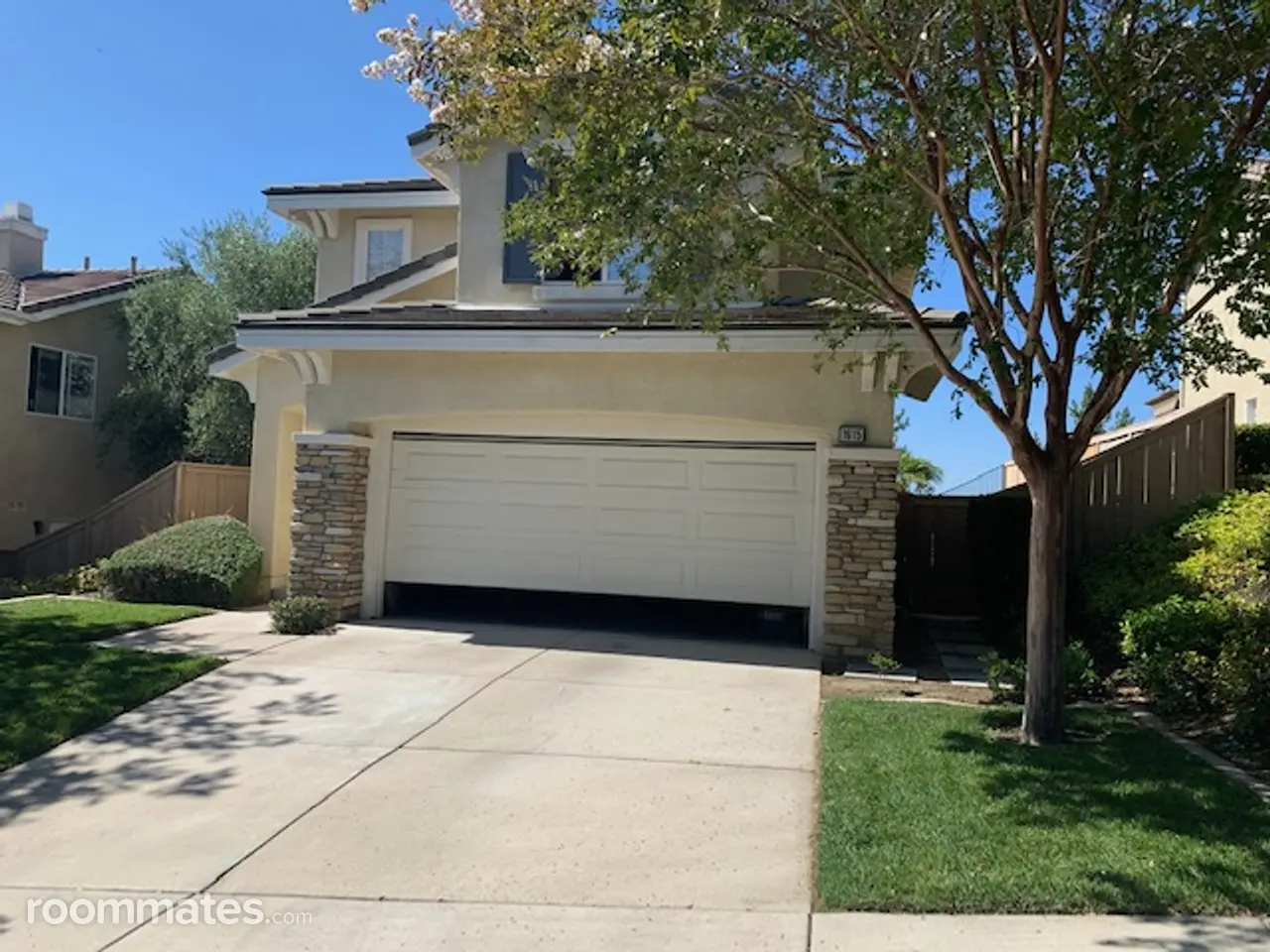 Profile photo 10 of 11