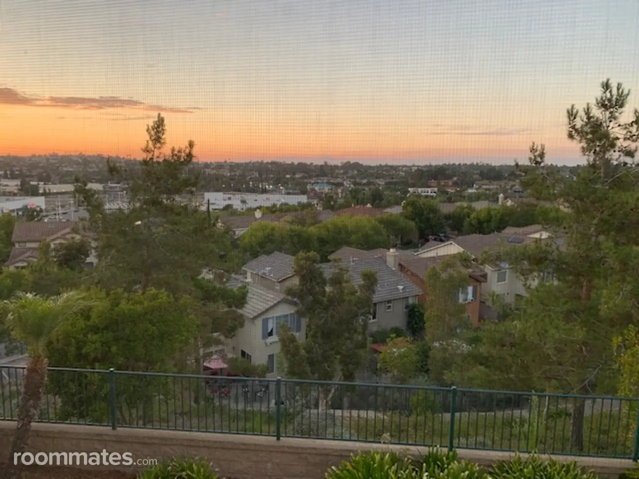 Profile photo 9 of 11