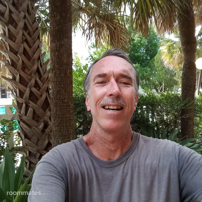 Roommate looking Orlando, FL, $600
