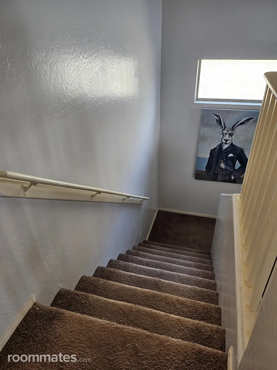 Profile photo 2 of 15