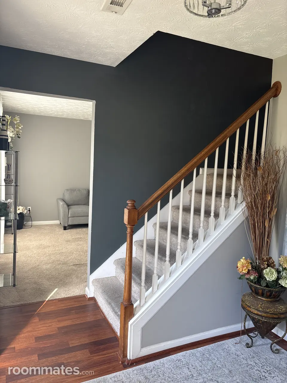 Profile photo 10 of 11