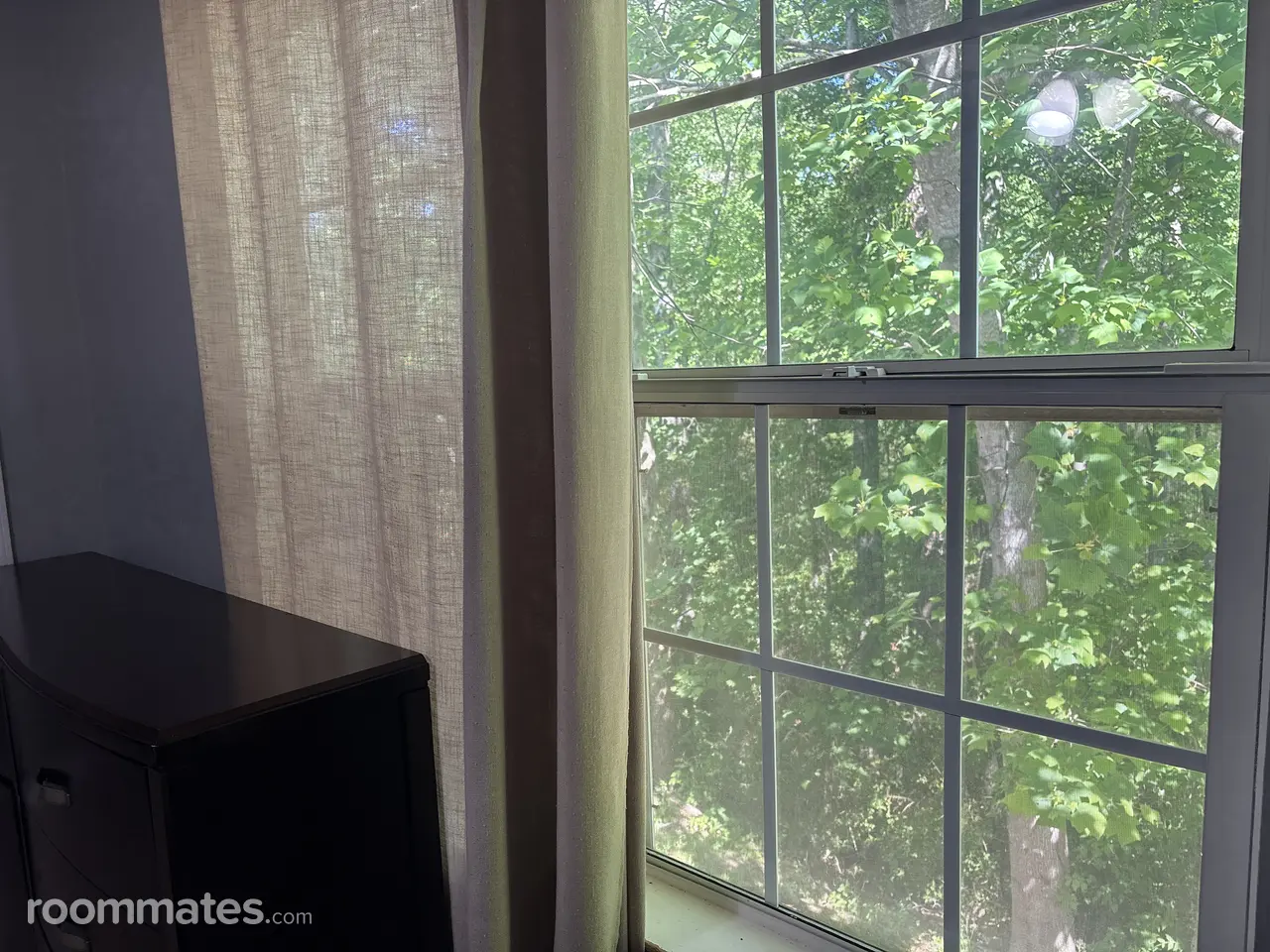 Profile photo 6 of 11