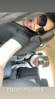 Roommate looking Las Vegas, NV, $1000