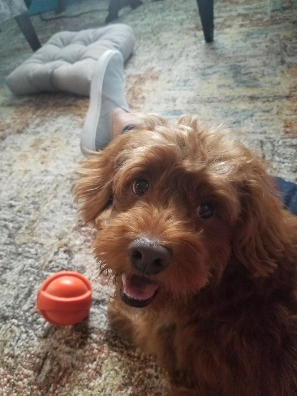 Profile photo 2 of 11