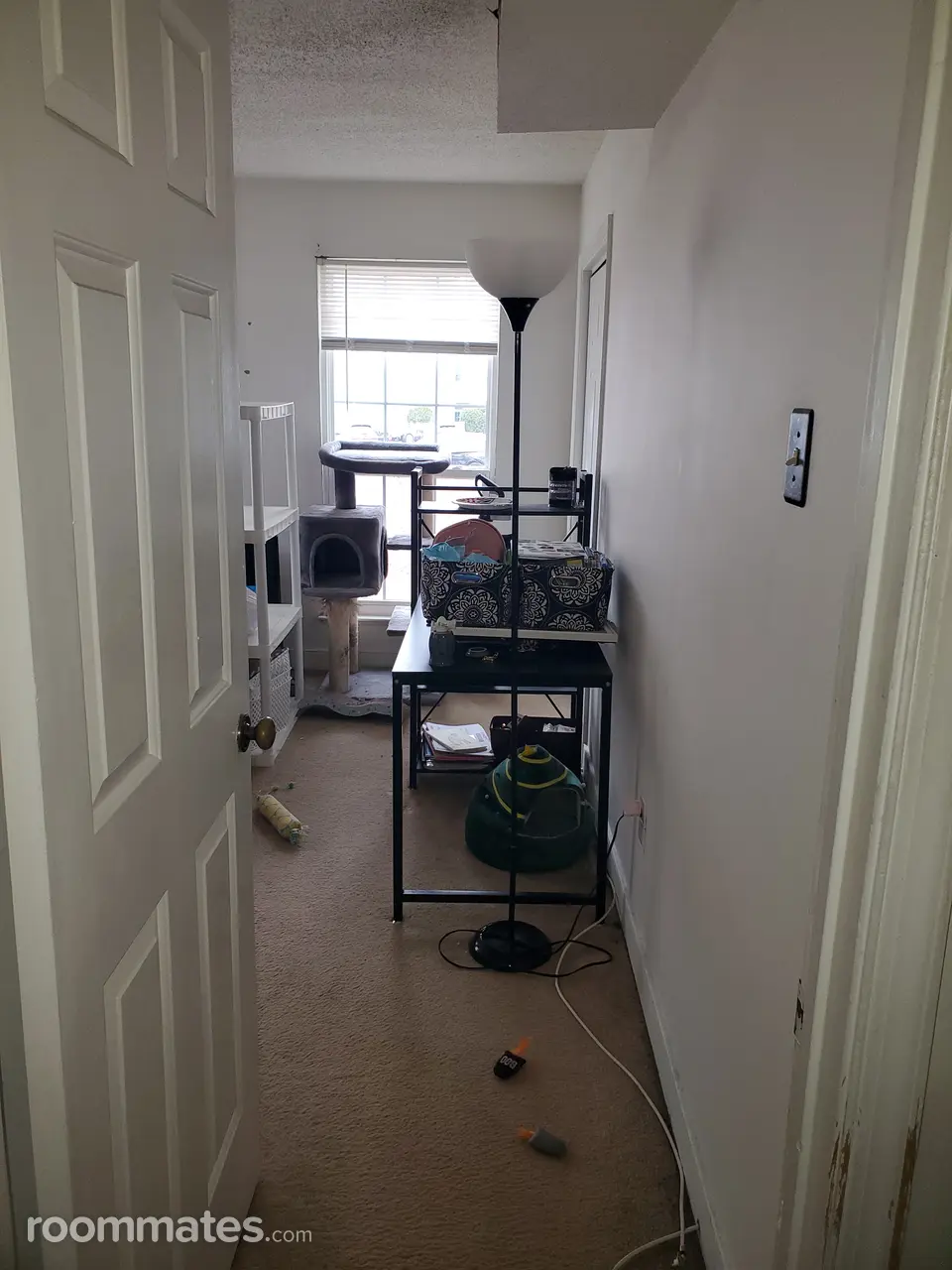 Profile photo 3 of 6