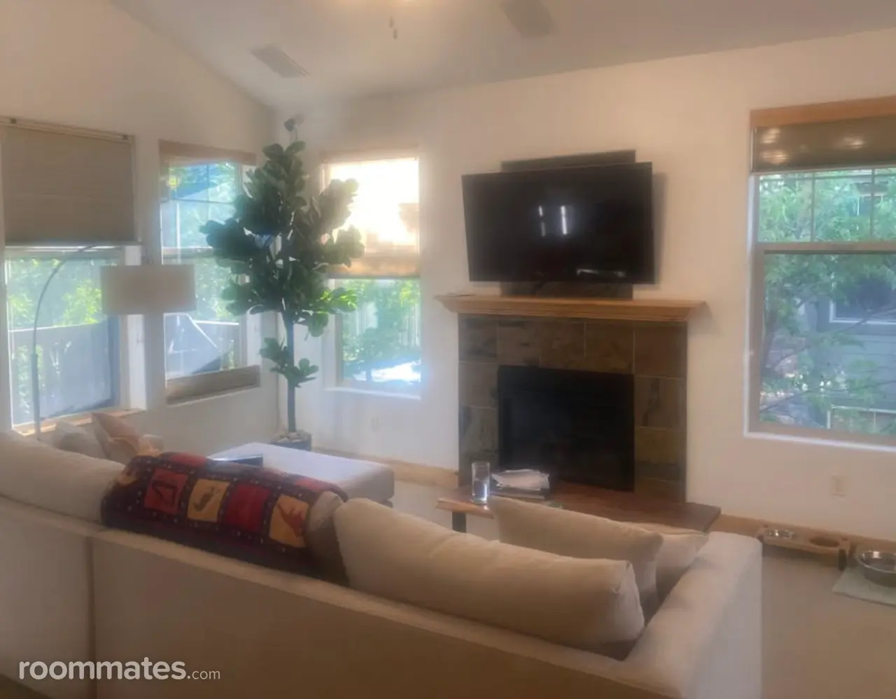 Profile photo 3 of 9