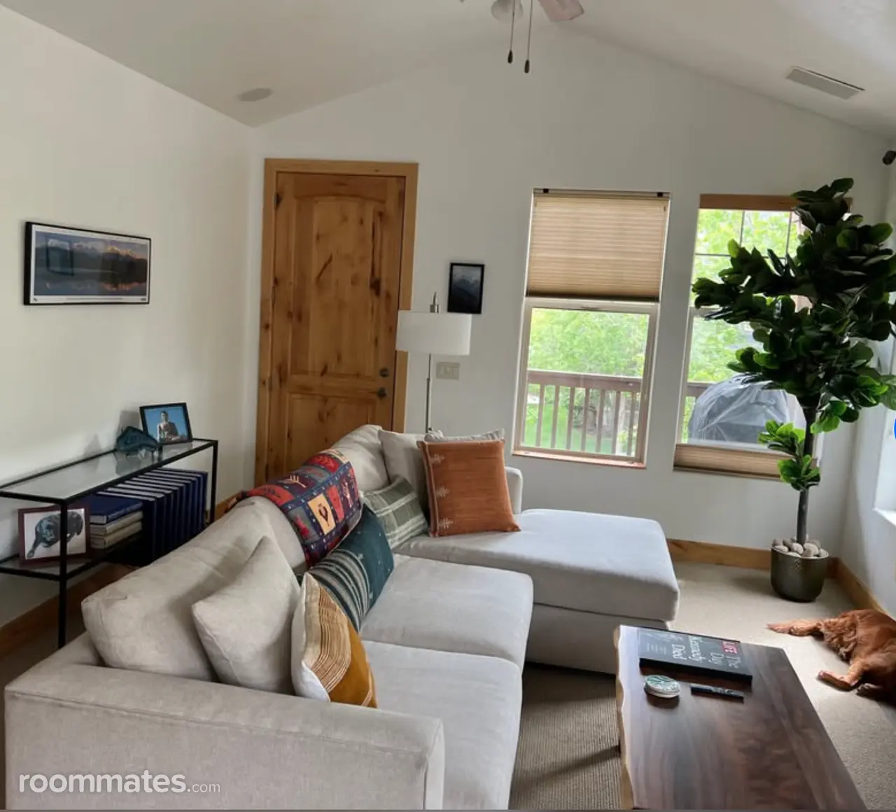 Profile photo 7 of 9