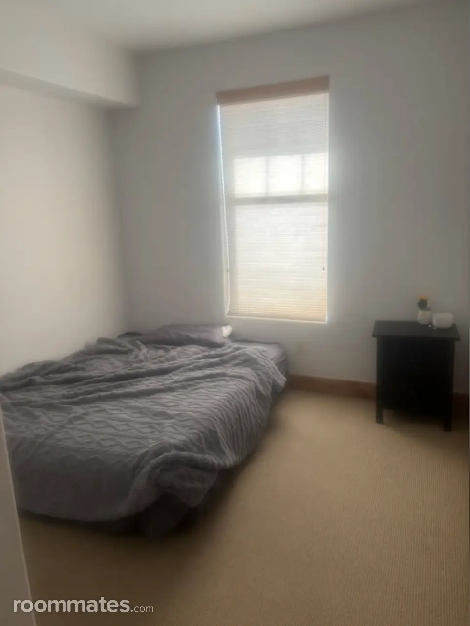 Profile photo 2 of 9