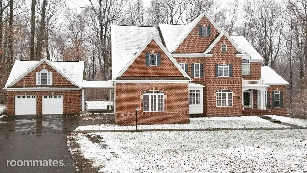 Profile photo 1 of 11