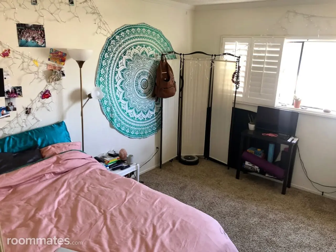 Profile photo 2 of 8