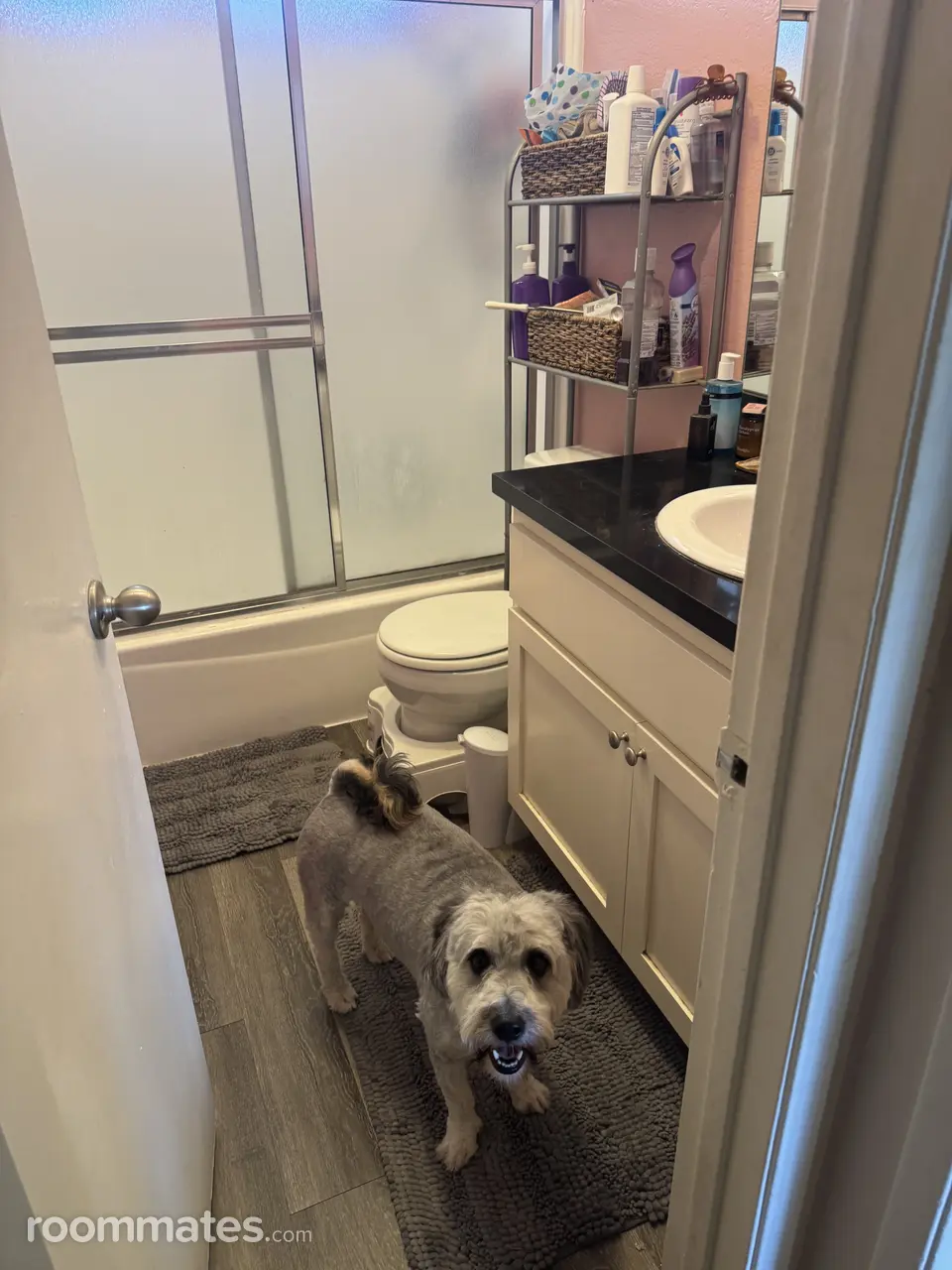 Profile photo 7 of 8