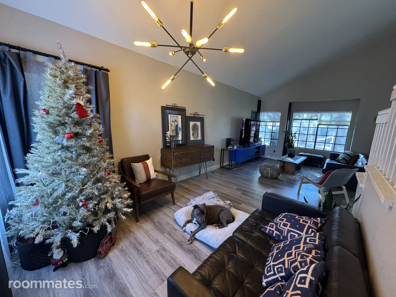 Profile photo 6 of 15