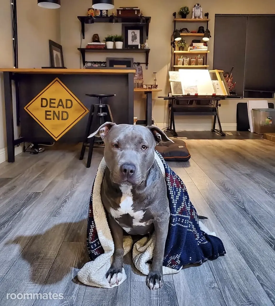 Profile photo 3 of 15