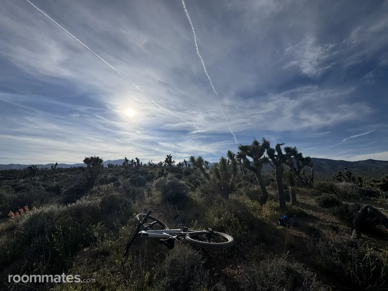 Profile photo 12 of 15