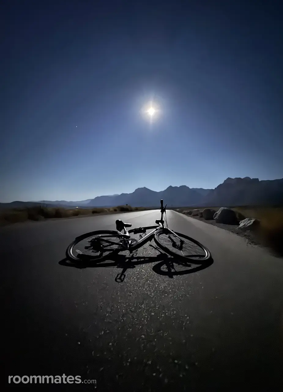 Profile photo 10 of 15