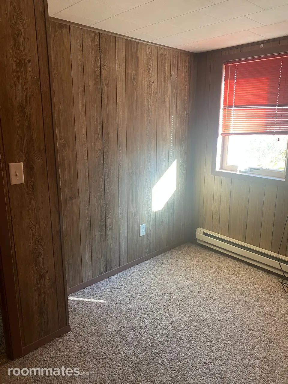 Profile photo 3 of 11