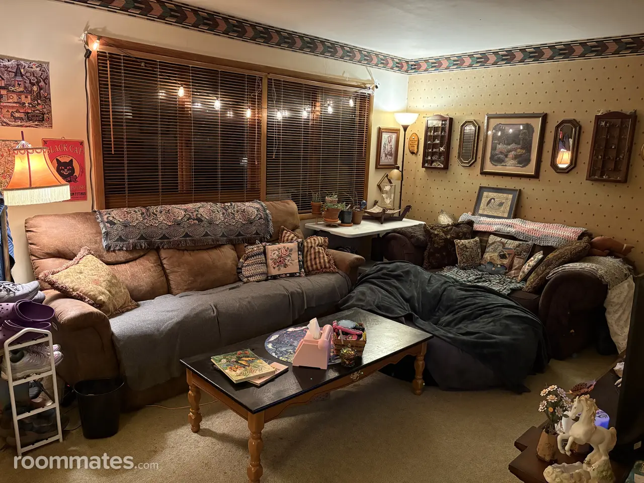 Profile photo 9 of 11