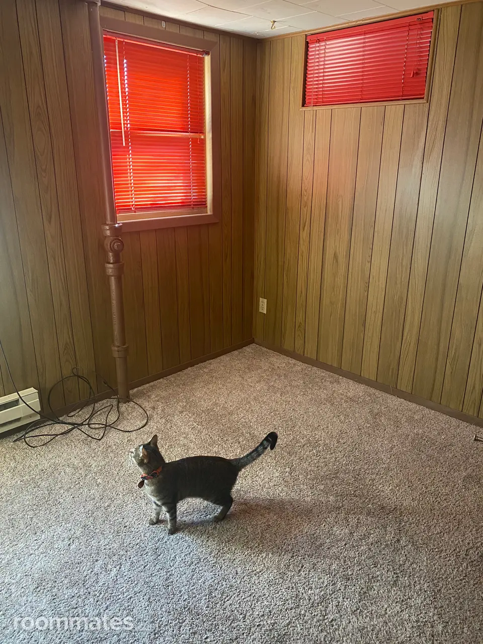 Profile photo 4 of 11