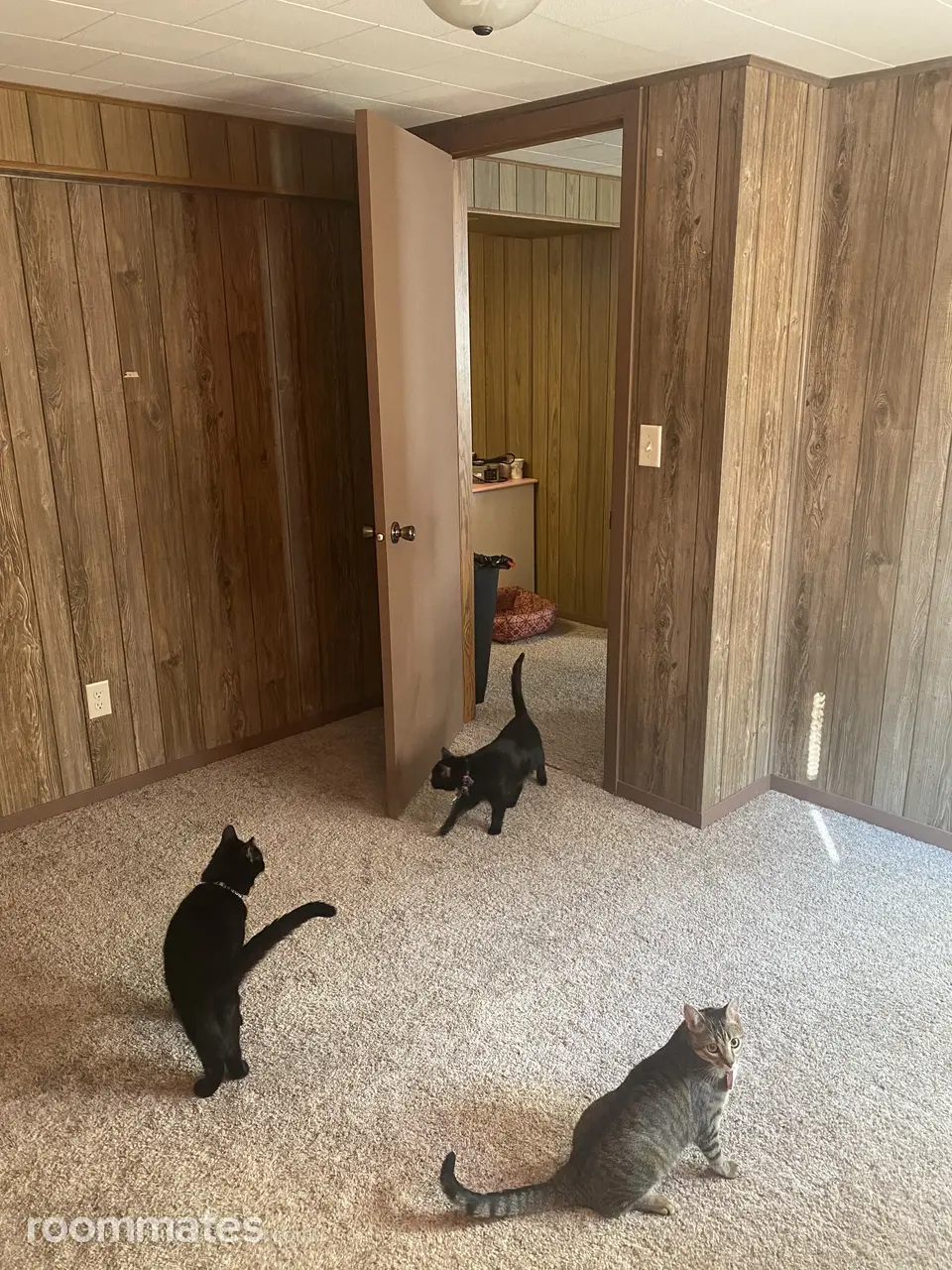 Profile photo 2 of 11