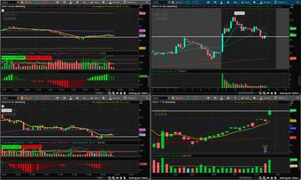 Roommate looking Hernando, MS, $1000