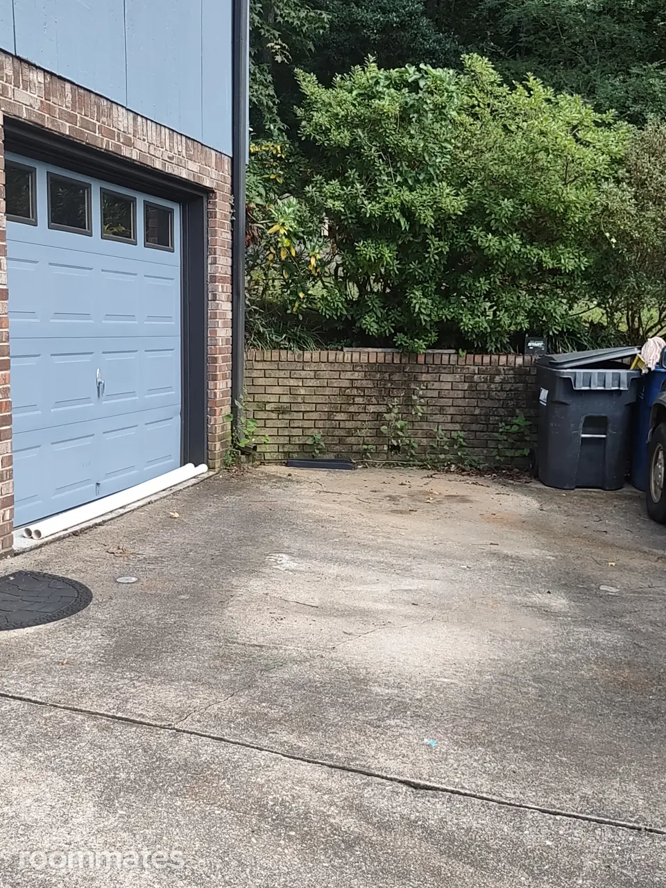 Profile photo 8 of 11