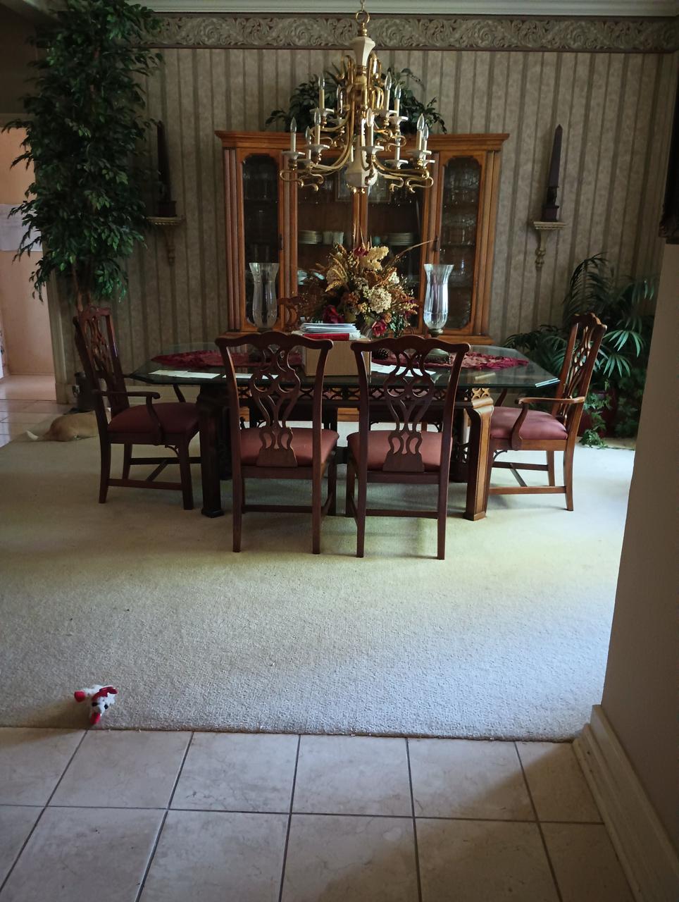 Profile photo 19 of 20