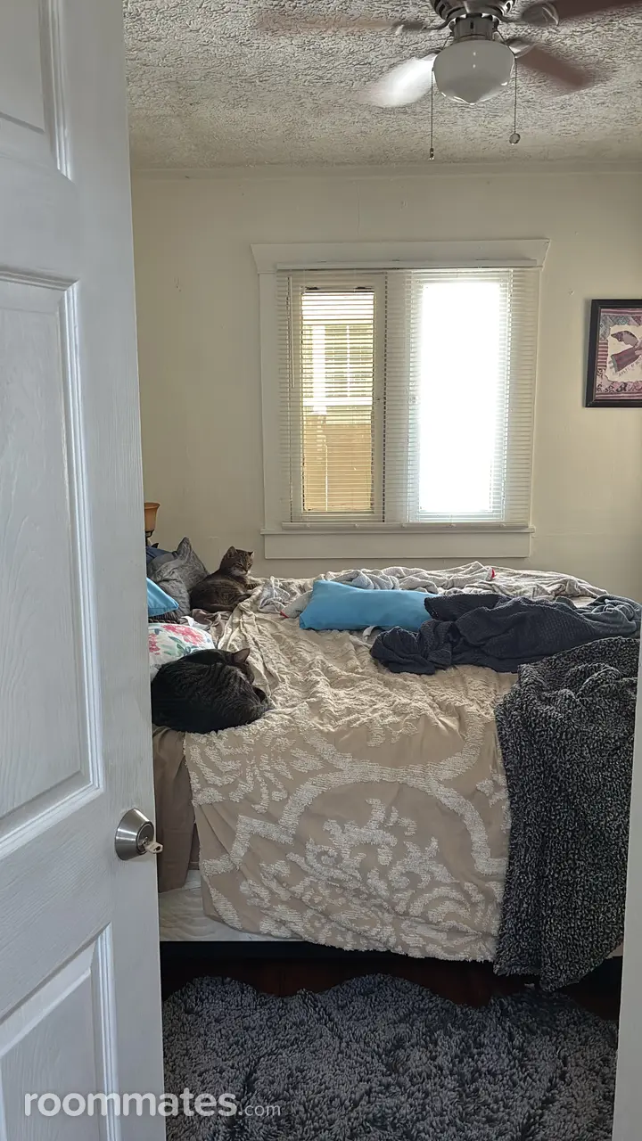 Profile photo 4 of 7