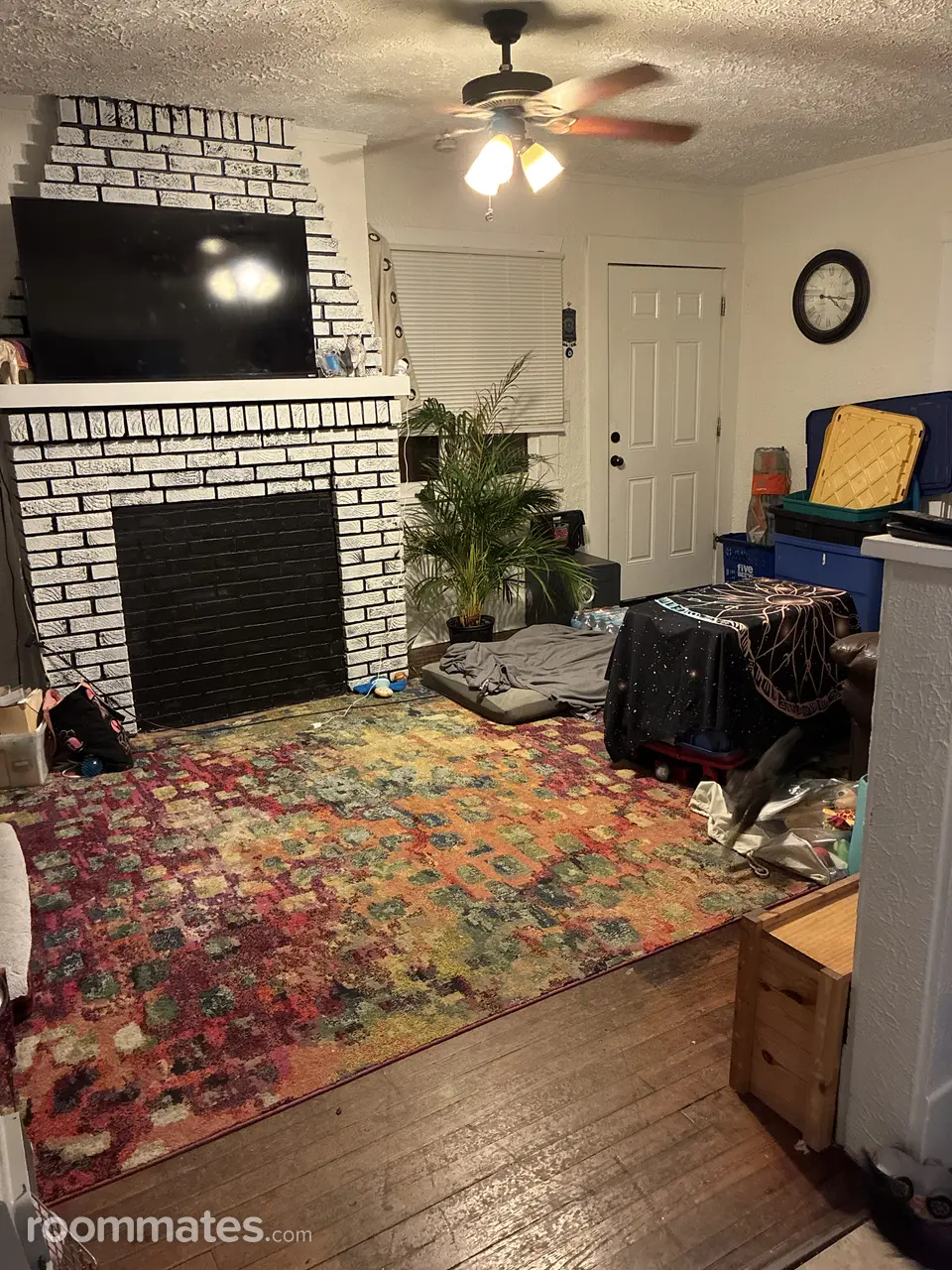 Profile photo 6 of 7