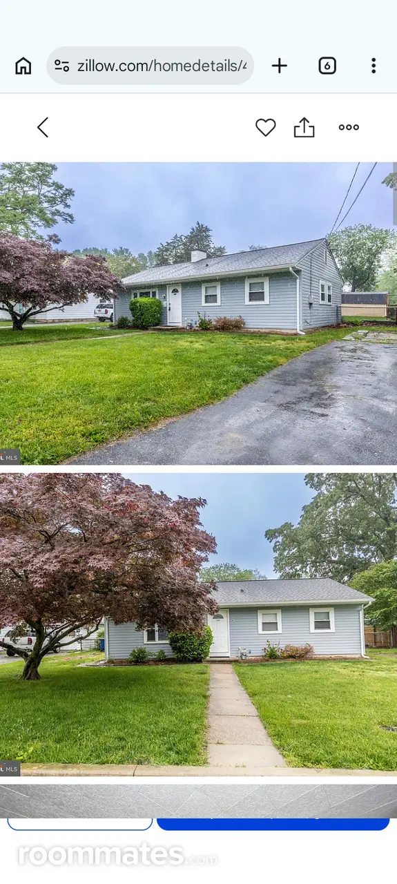 Profile photo 4 of 5