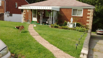 Room for rent in Pittsburgh, Pennsylvania $400, house
