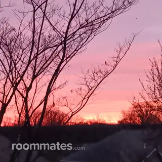 Room for rent in Arlington, VA $1800, house