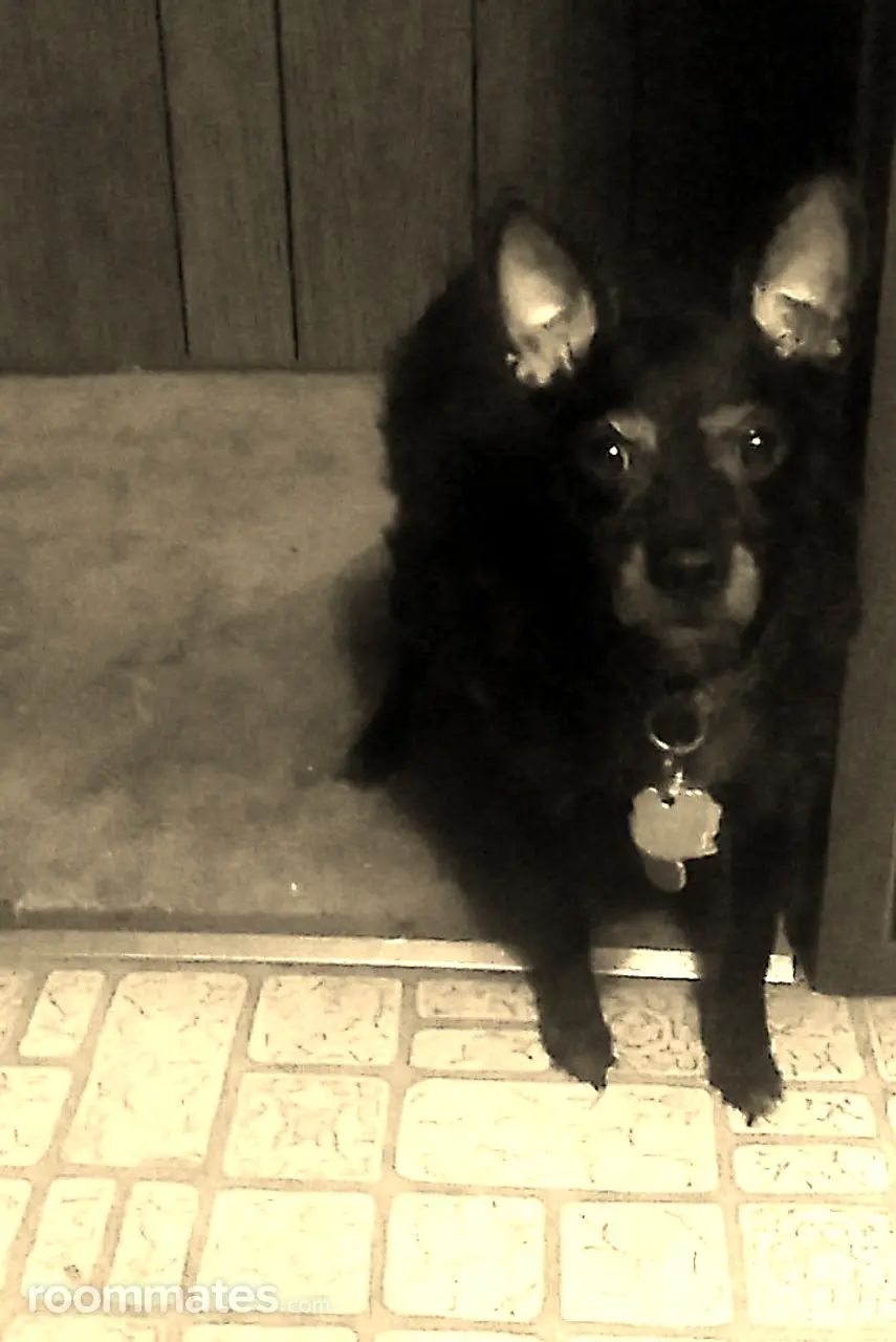 Profile photo 11 of 14