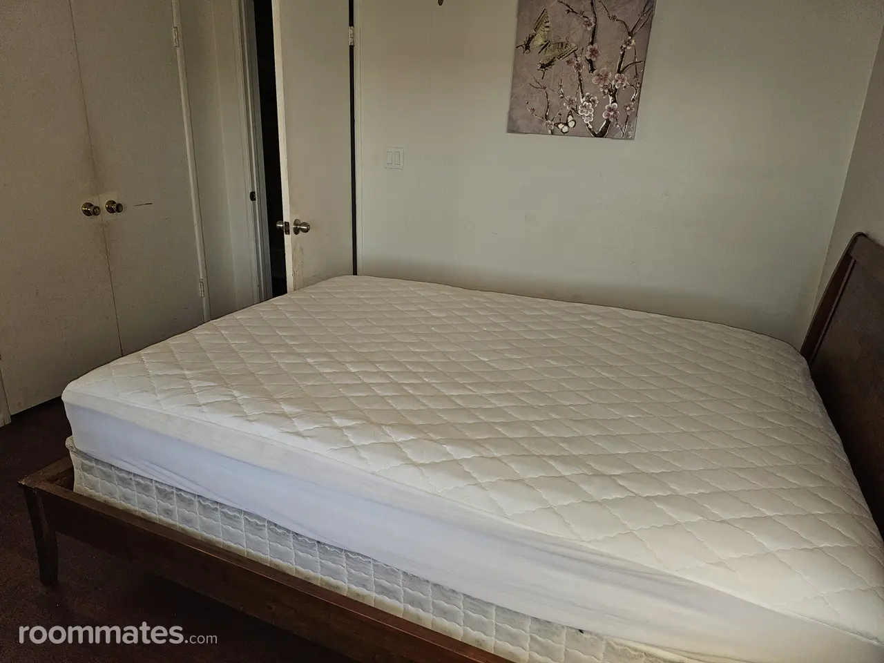 Profile photo 1 of 7