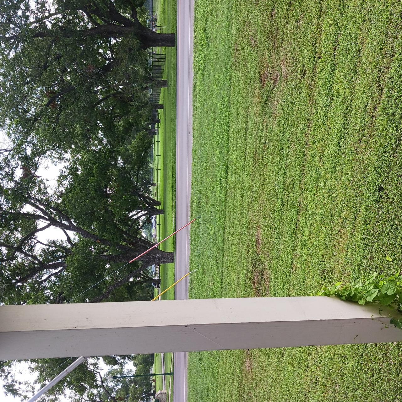 Profile photo 17 of 19