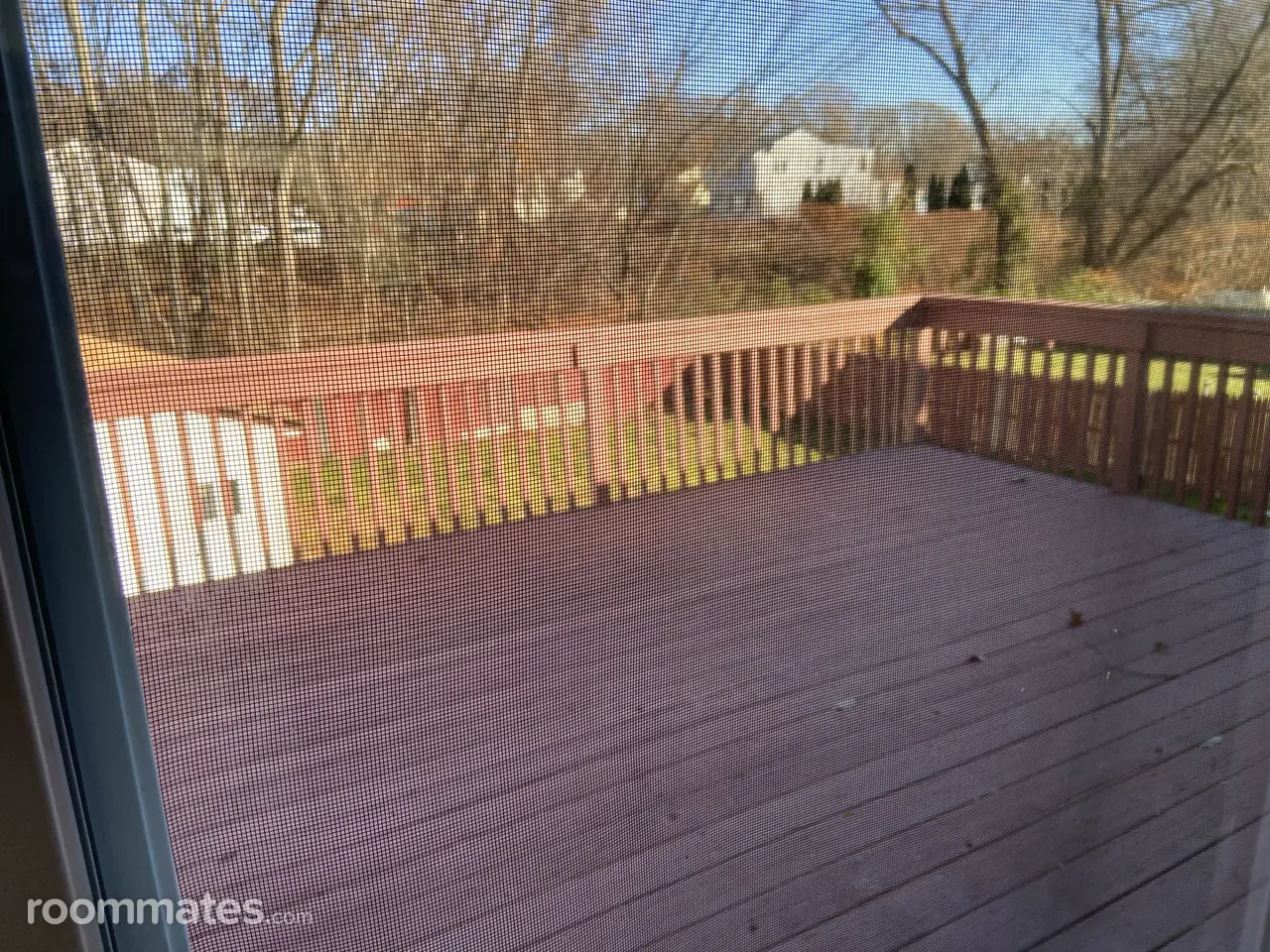 Profile photo 11 of 12