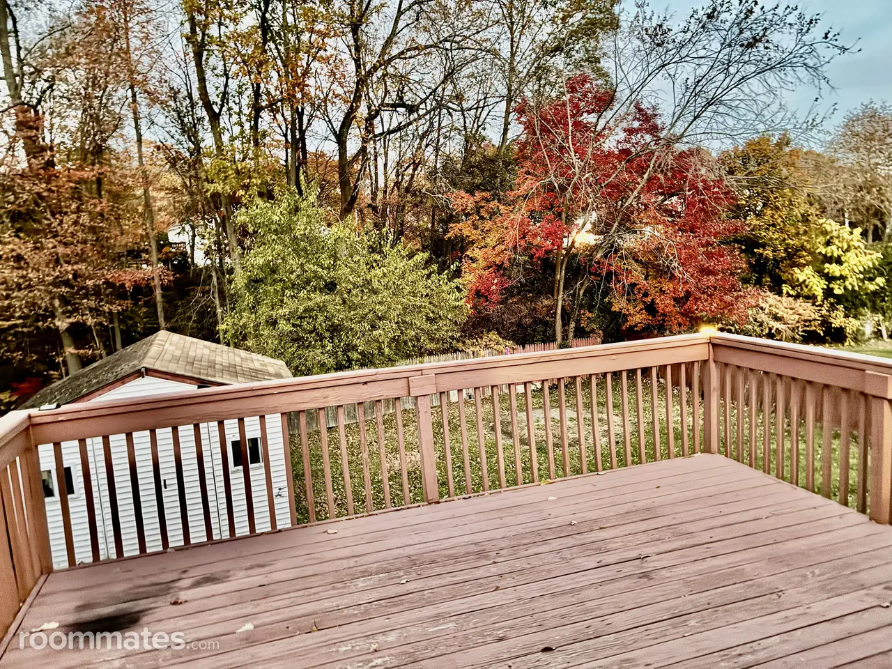 Profile photo 3 of 12